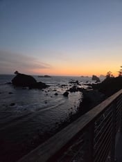 Ocean's Edge