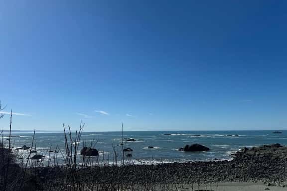 Beachs' 1177 - Image 1